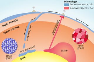 Representation of the process of subduction of tectonic plates and of a mantle plume rising from an LLSVP.