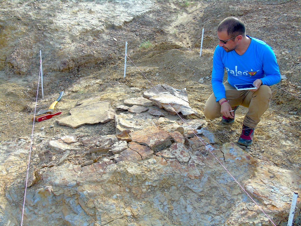 Study co-researcher Rodolfo Sánchez, a paleontologist at the Urumaco Paleontological Museum in Venezuela, collects data near where the fossils were discovered.