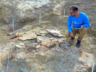 Estudo co-pesquisador Rodolfo Sánchez, um paleontólogo do Museu Paleontológico Urumaco, na Venezuela, coleta dados próximos ao local onde os fósseis foram descobertos.