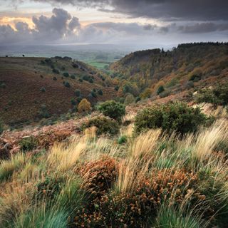 Autumnal view from Staple Plain into a wooded valley and beyond to rolling countryside. Quantocks, Somerset, UK.