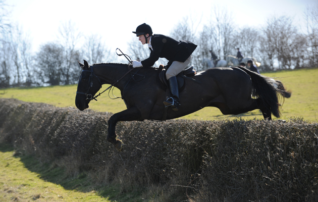 Fernie Hunt on 08 03 2015