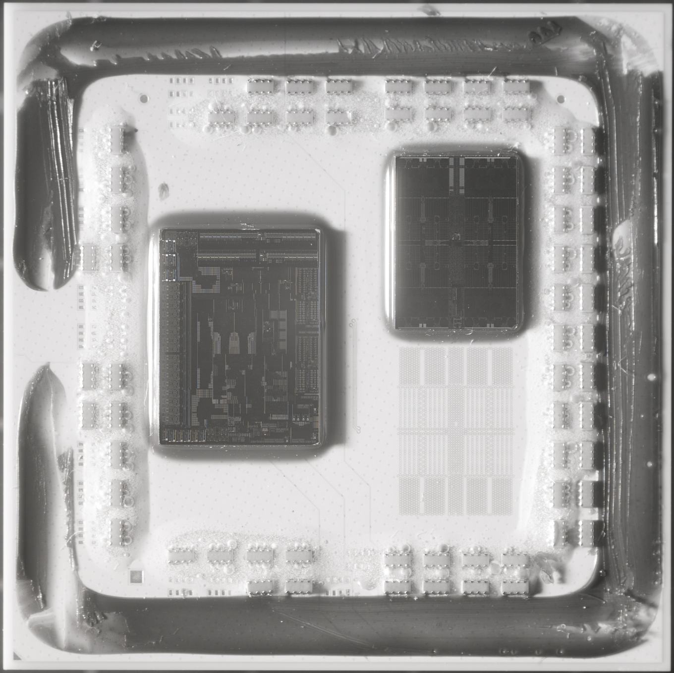 Amds 64 Core Epyc Cpu Stripped A Detailed Inside Look Toms Hardware