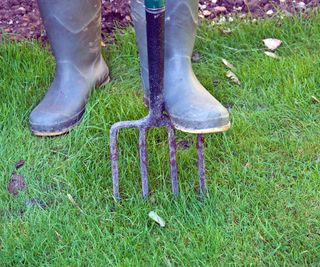 Gardener wearing wellington boots stepping on a fork to aerate the soil on a lawn