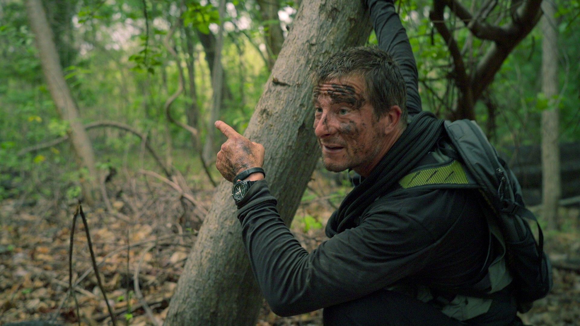 Bear Grylls