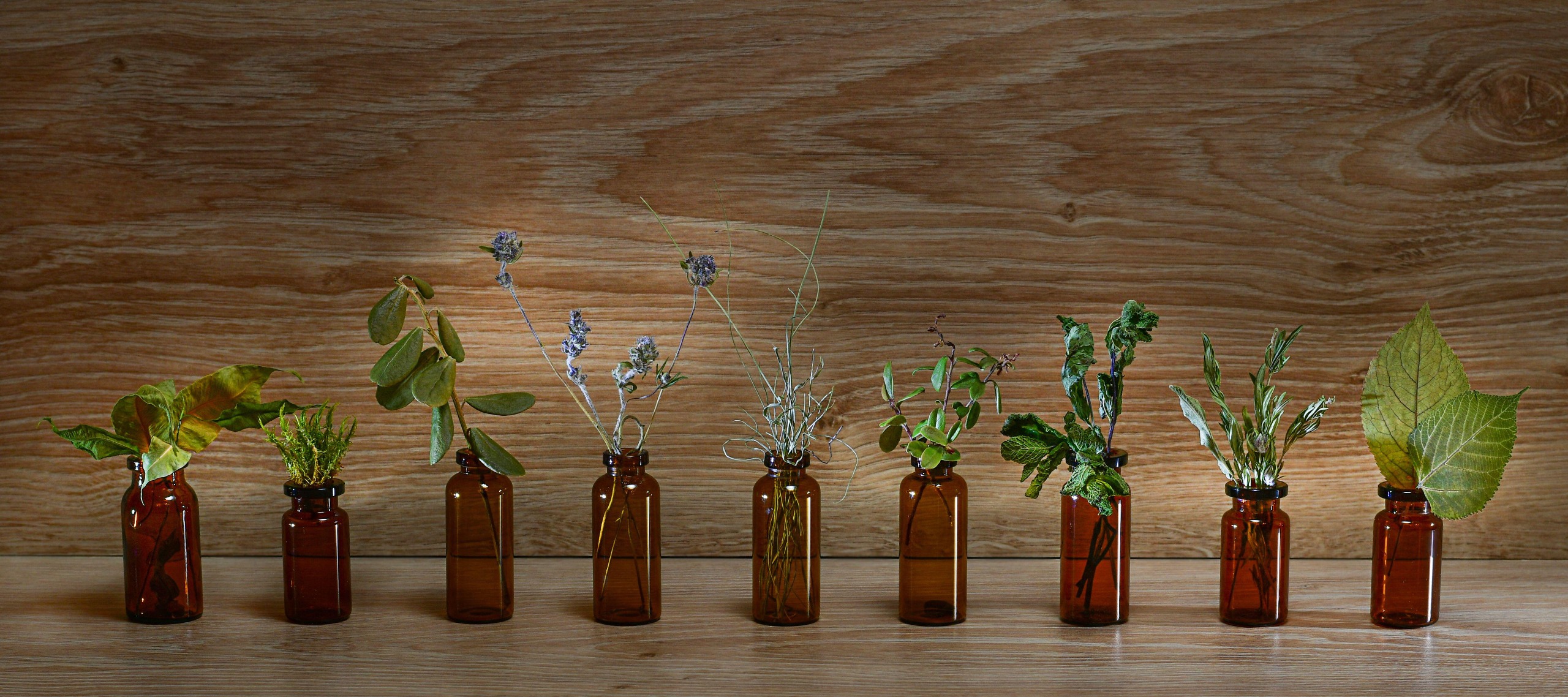 A row of plants and herbs in brown bottles with a wooden background