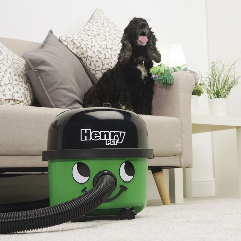 Best vacuum cleaners for pet hair 2023 Ideal Home