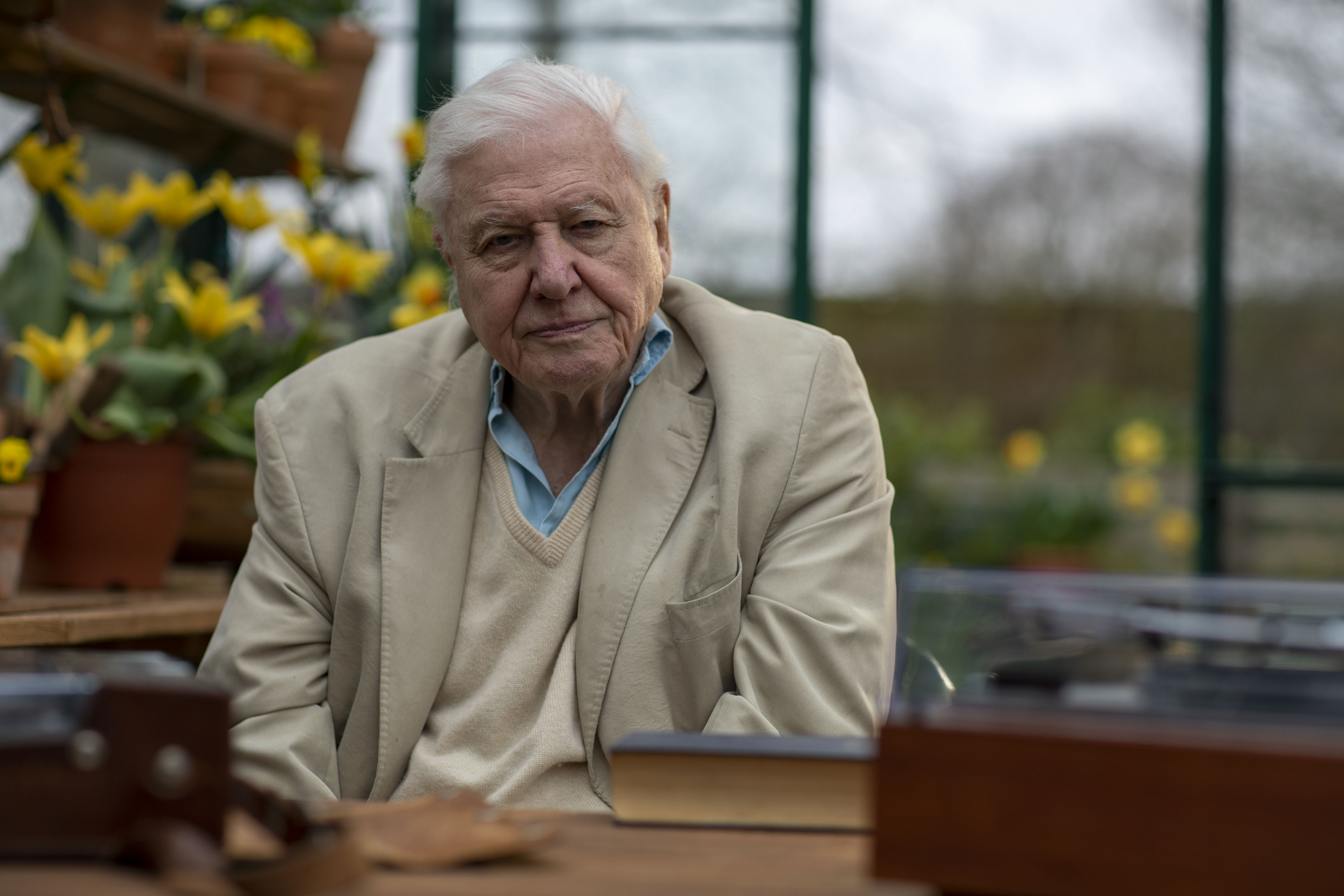 TV tonight David Attenborough presents
