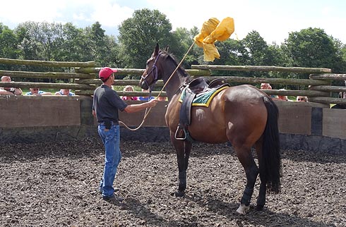 Jason Webb desensitising a horse that bolts