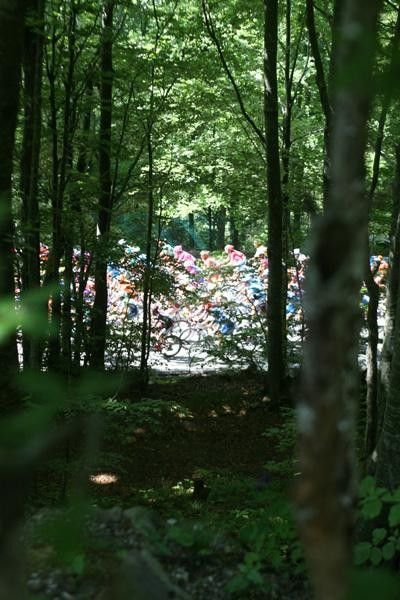 Lush land of Italy greeted the riders on stage 9.