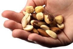 Hand of nuts (LL)