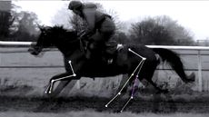 Ride-Comparison_363210062_628284942.jpg