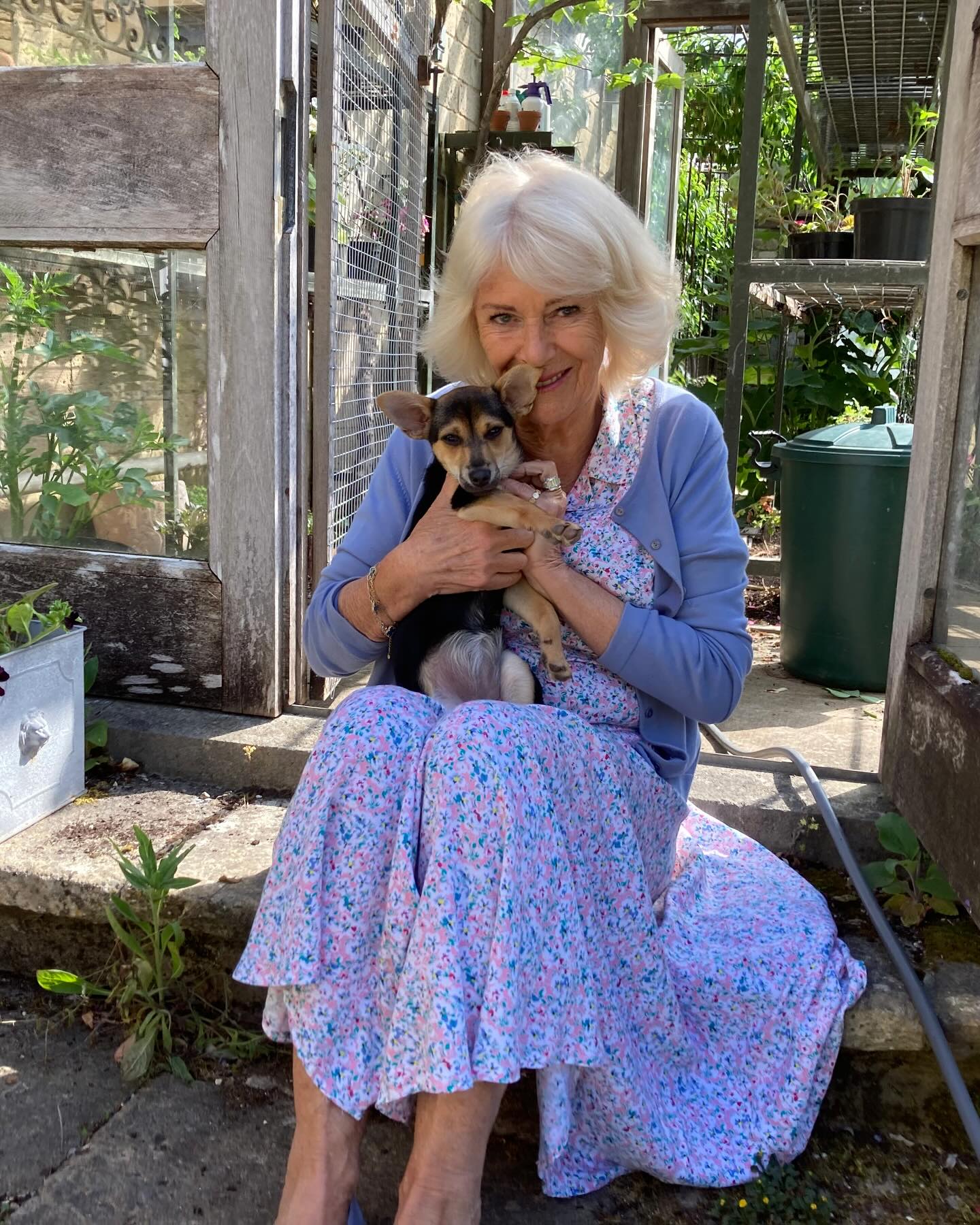 Queen Camilla holding Moley the dog in a floral dress