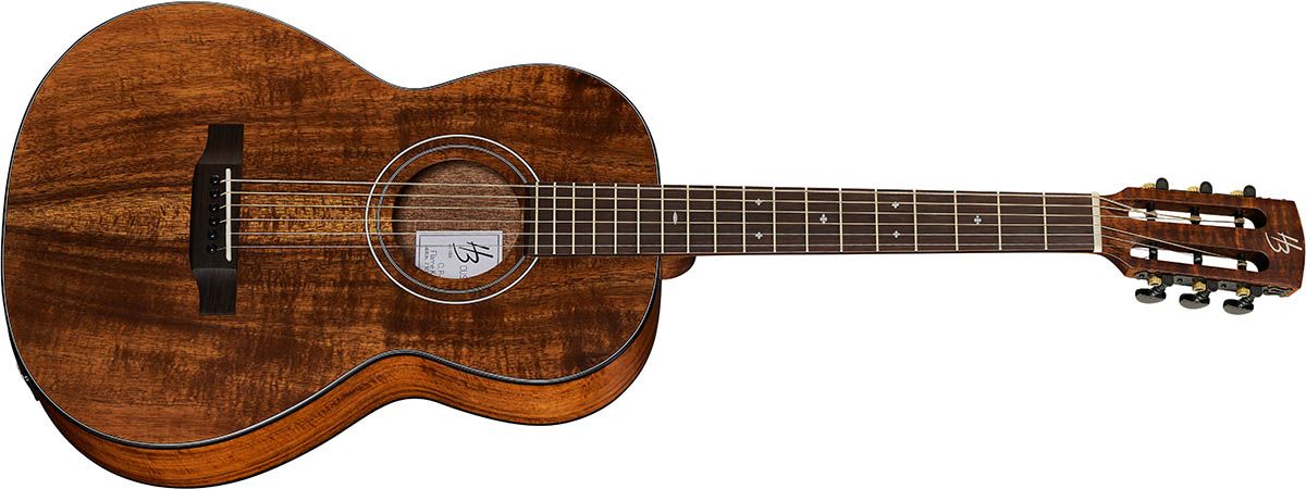 Harley Benton Exotic Custom Line
