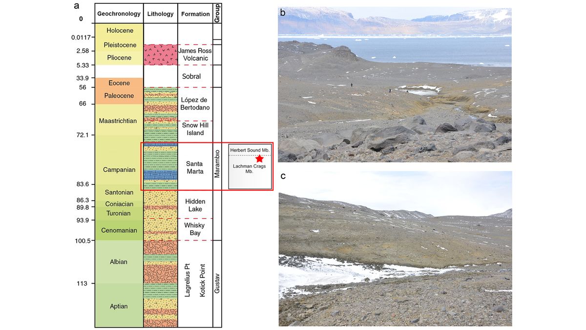 Scientists found the fossils in the Santa Marta Formation on James Ross Island.