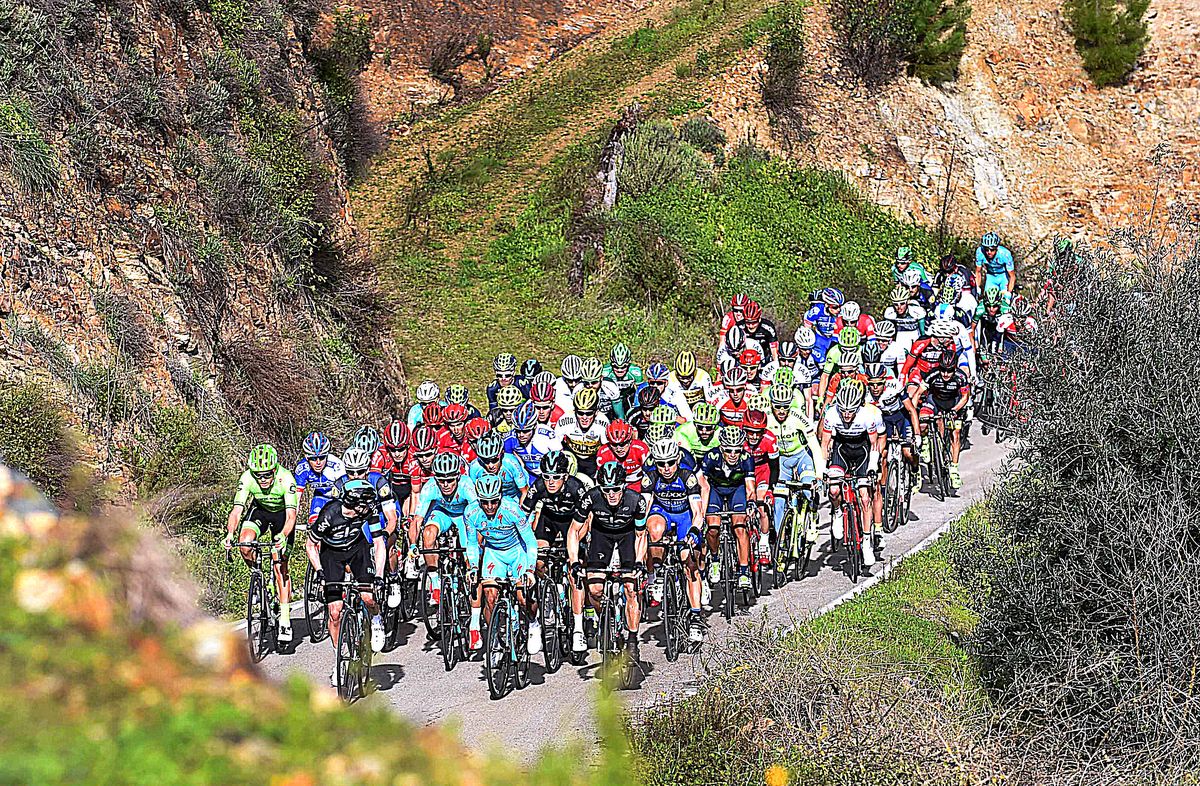 The colourful peloton
