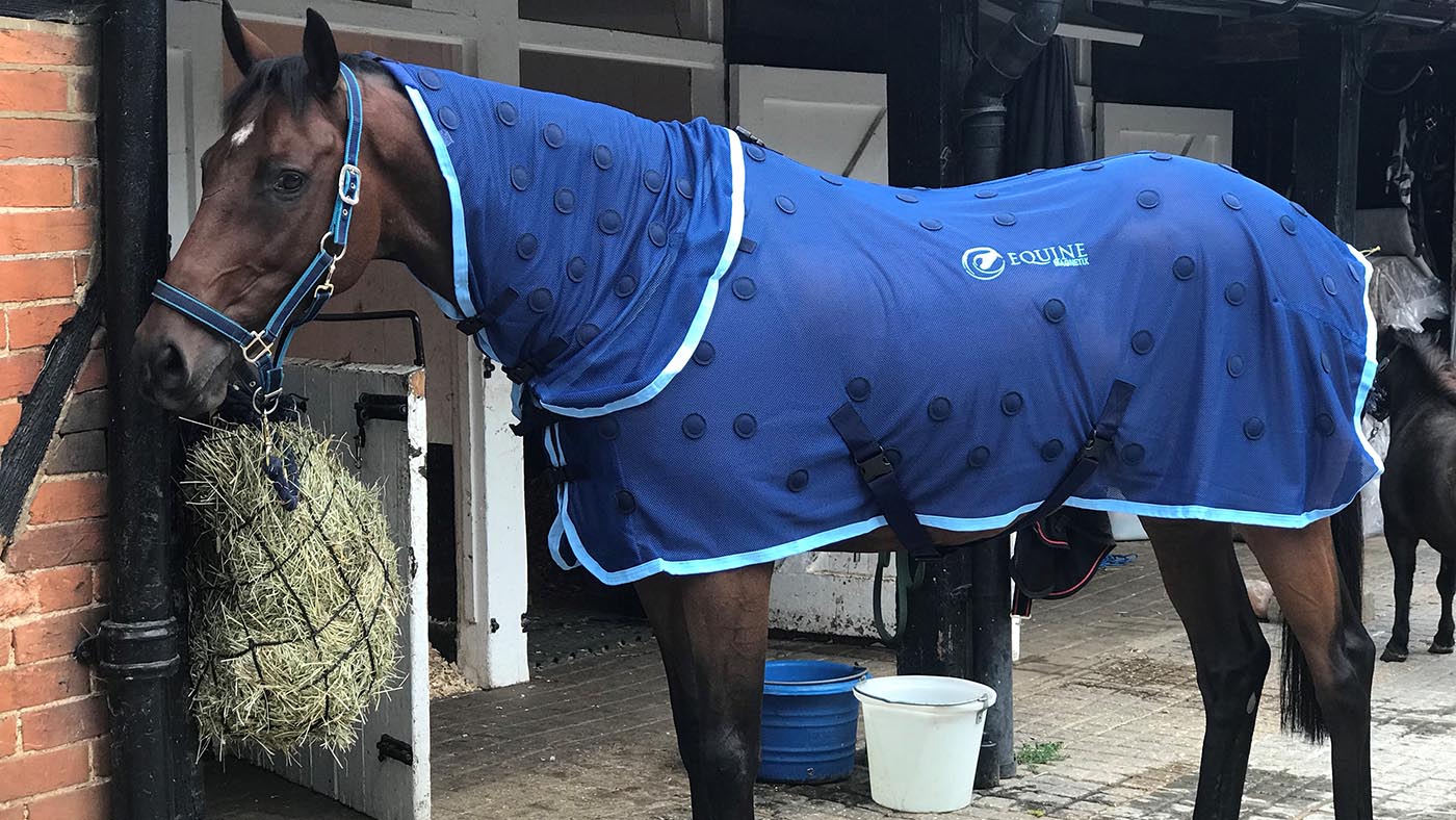Equine Magnetix rug