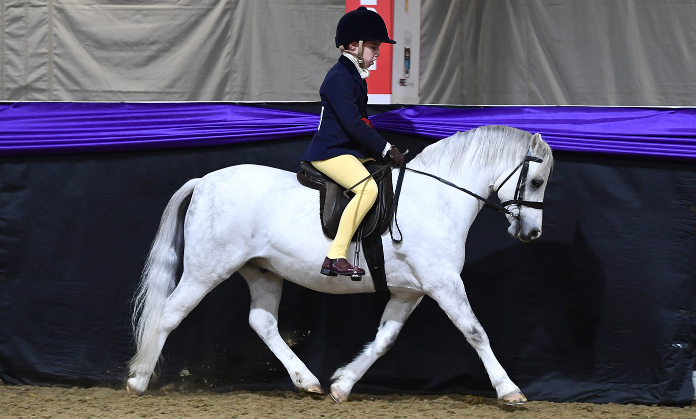 Heritage Show 15.10.2266222