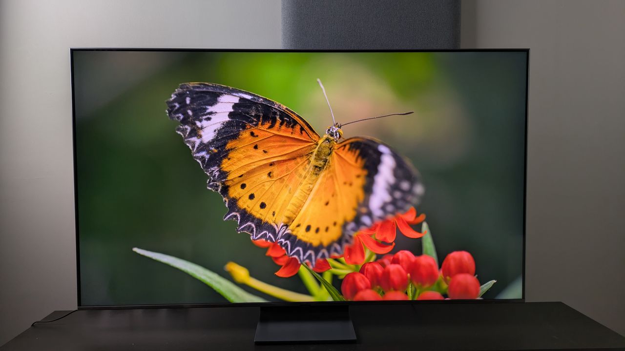 Samsung QN80F with orange butterfly on screen