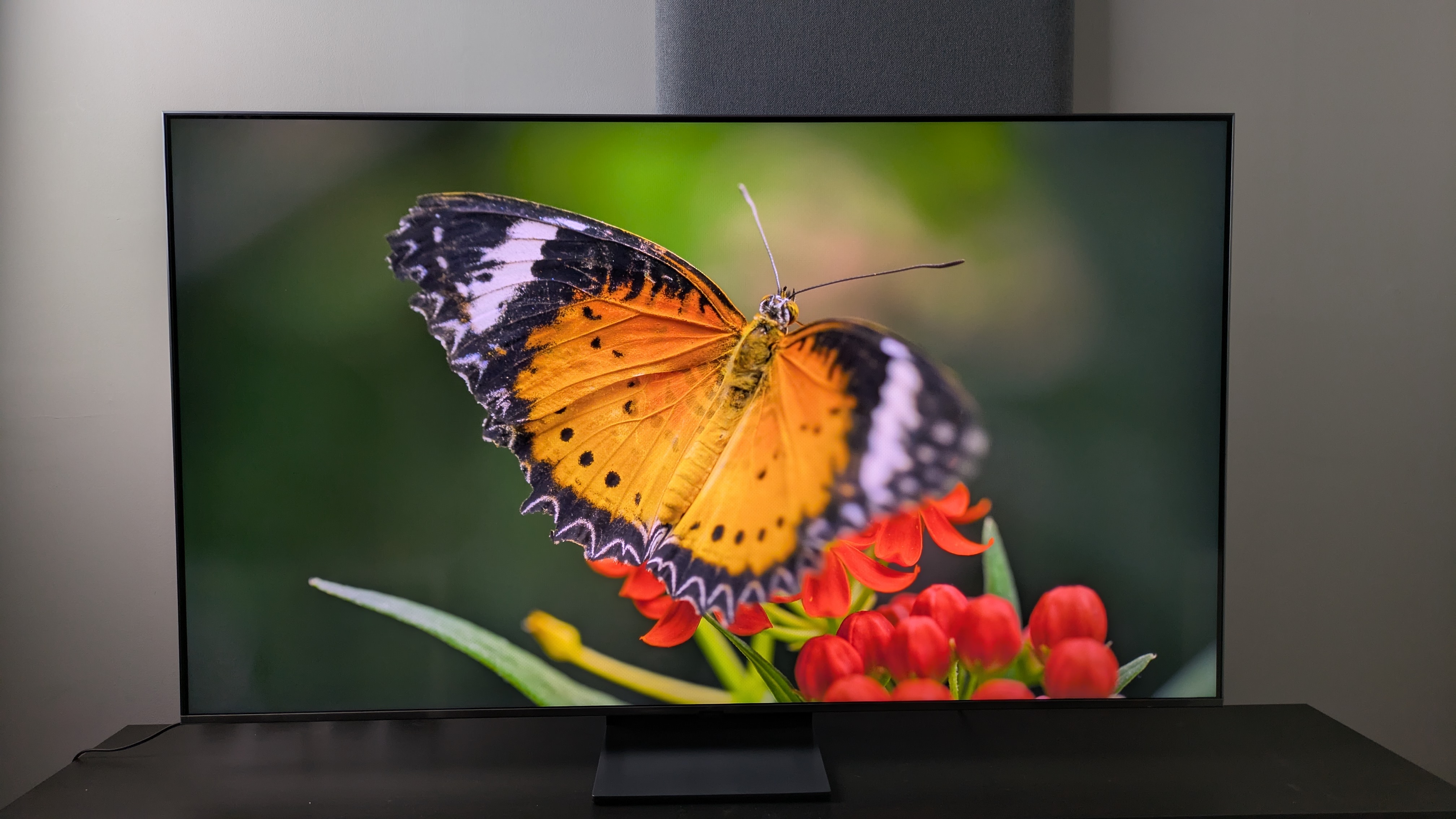 Samsung QN80F with orange butterfly on screen