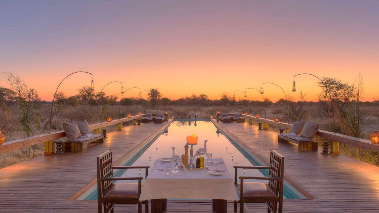 Feline Fields, Botswana