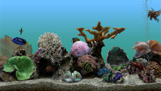 A screenshot of the aquarium screensaver that appears on Roku devices