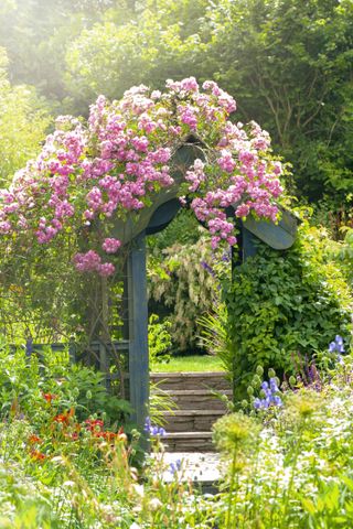 cottage garden path ideas: roses over archway
