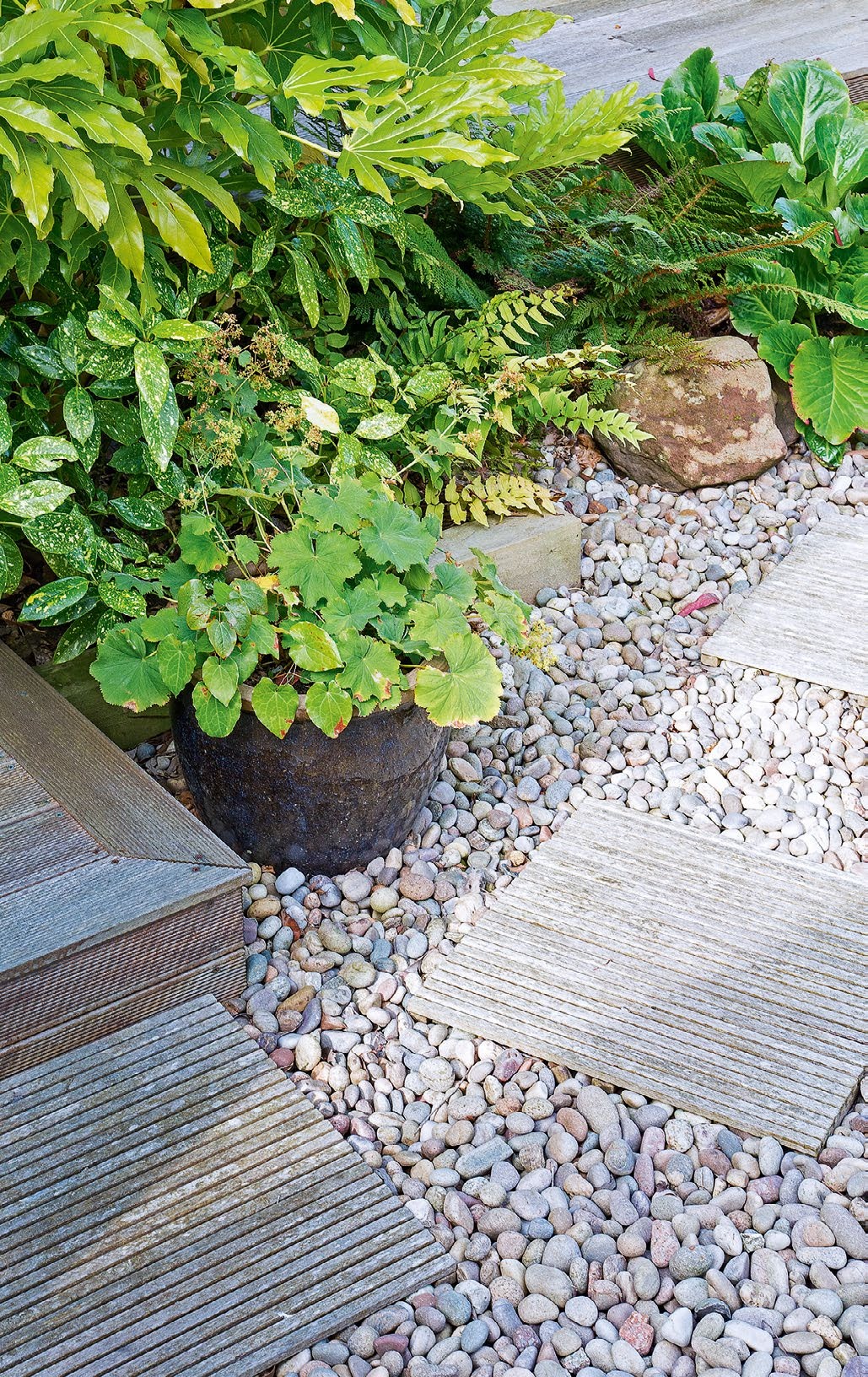 IDH322.plan.hbo3883_low_maintenance_garden_ideas_3_gg22_125884891_245868892