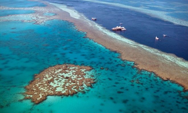 Great barrier reef