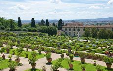 Villa Medicea di Castello promo