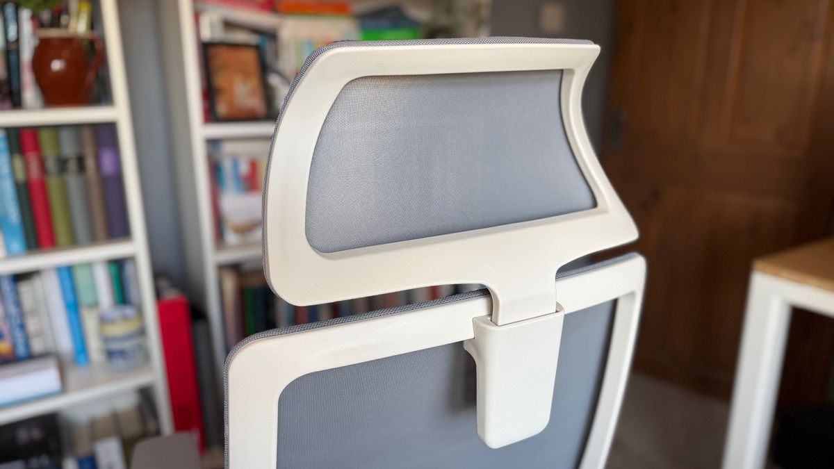 Pictures of the Branch Office chair.