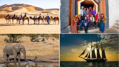 A composite image of four different group tours for solo travellers