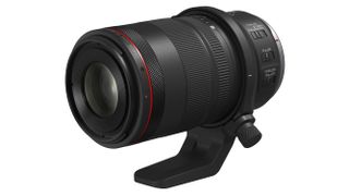 Canon RF 100mm f/2.8L Macro