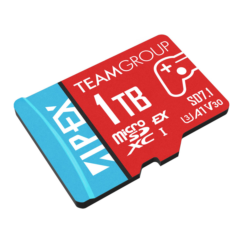 teamgroup switch 2 card