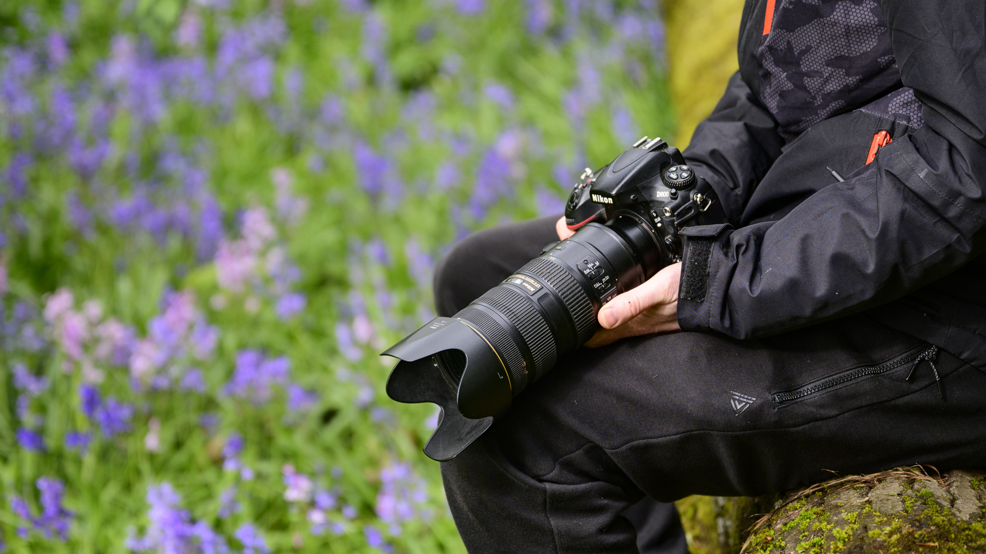 Nikon D800 DSLR camera being held with photographer sitting on tree trunk surrounded by bluebells
