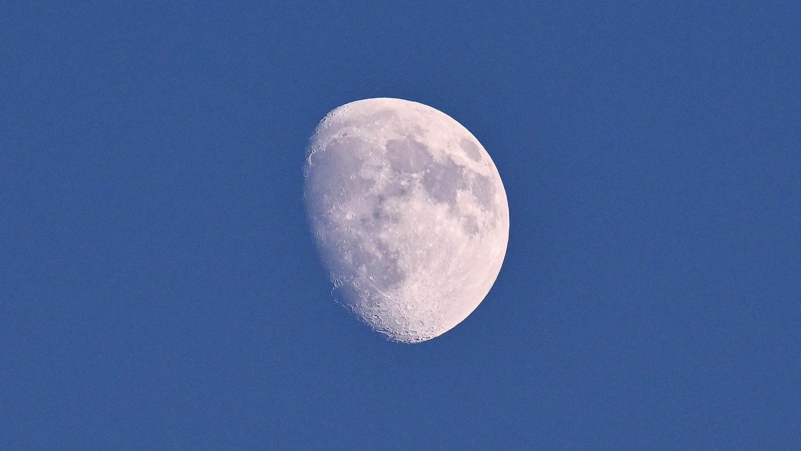 A photo of a waxing gibbous moon with its right side lit by sunlight in the blue daytime sky.