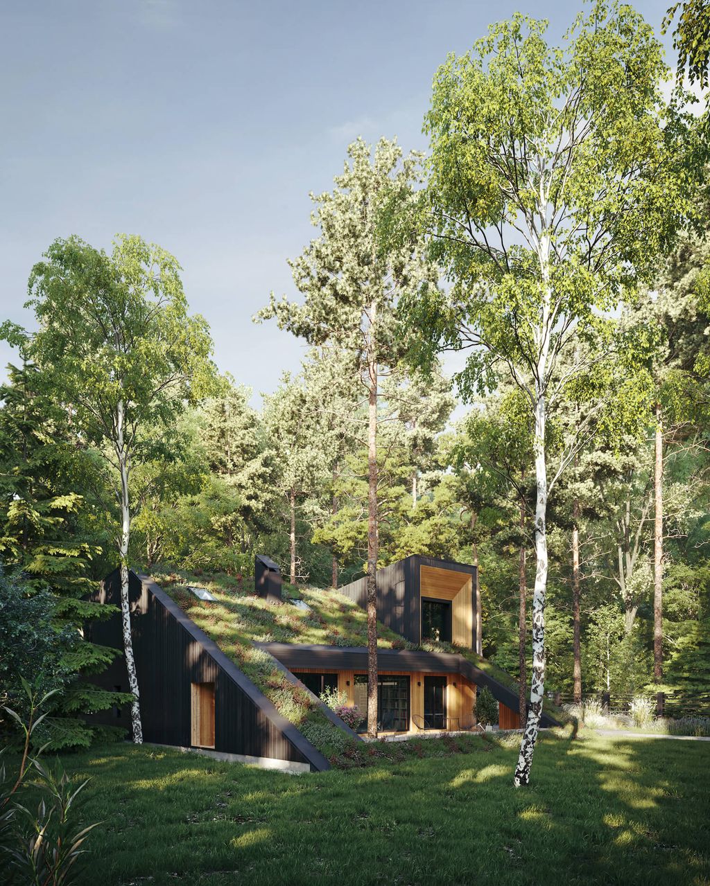 Eco Houses 7 Most Beautiful Sustainable Builds From Forest Dwellings