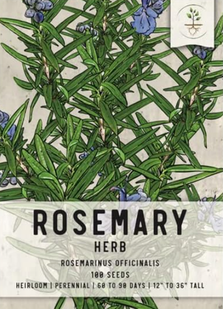 Rosemary seeds