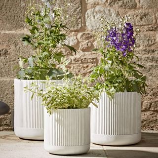 Cox & Cox outdoor living white planter set