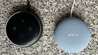 Amazon Echo Dot and Google Nest Mini
