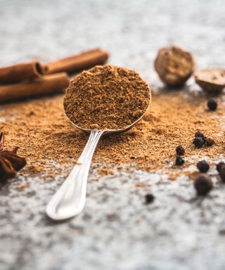 Using cinnamon in your soil