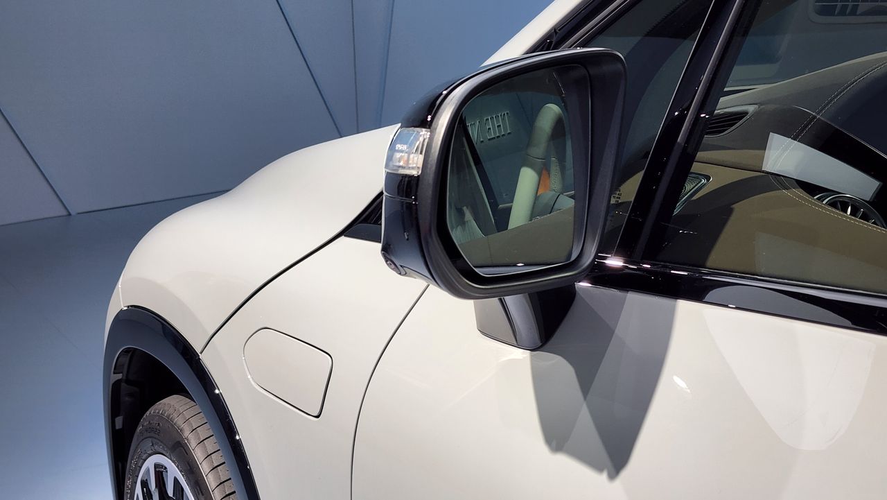 Close-up of side-mirror