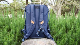 Peak Design Everyday Backpack 20L V2 rear view