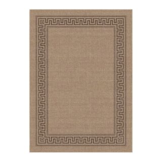 A brown rug with geometric border