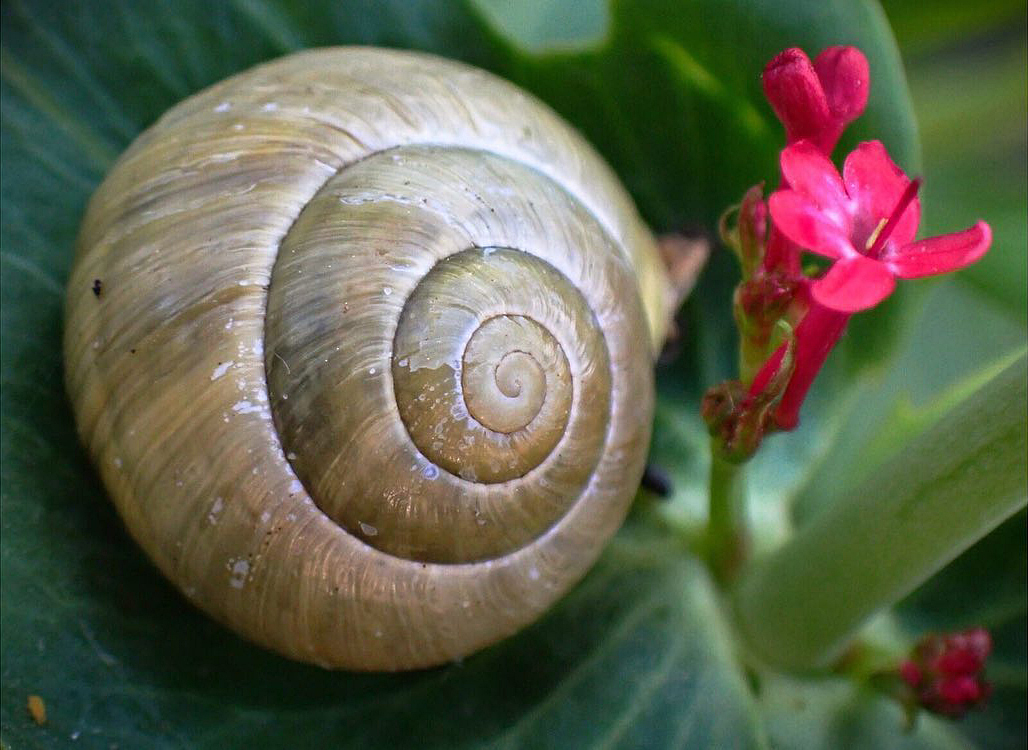 Sample image taken on the OM System Tough TG-7