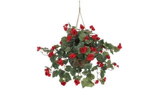 best hanging flowers