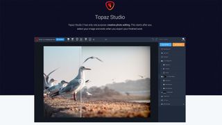 AI photo editing software: Topaz Studio