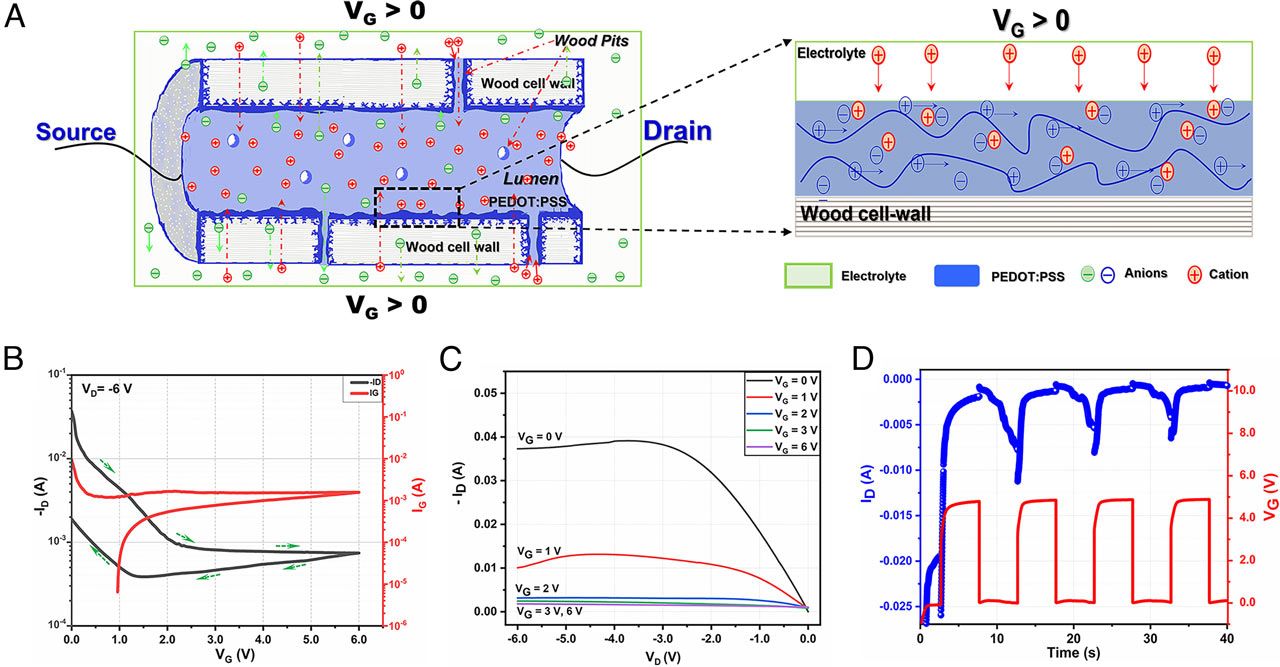 Wood transistors
