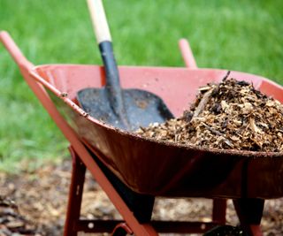 wheelbarrow containing mulch for the garden and a spade