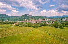 Gavi &ndash; Where ancient soils make for ageworthy white wines