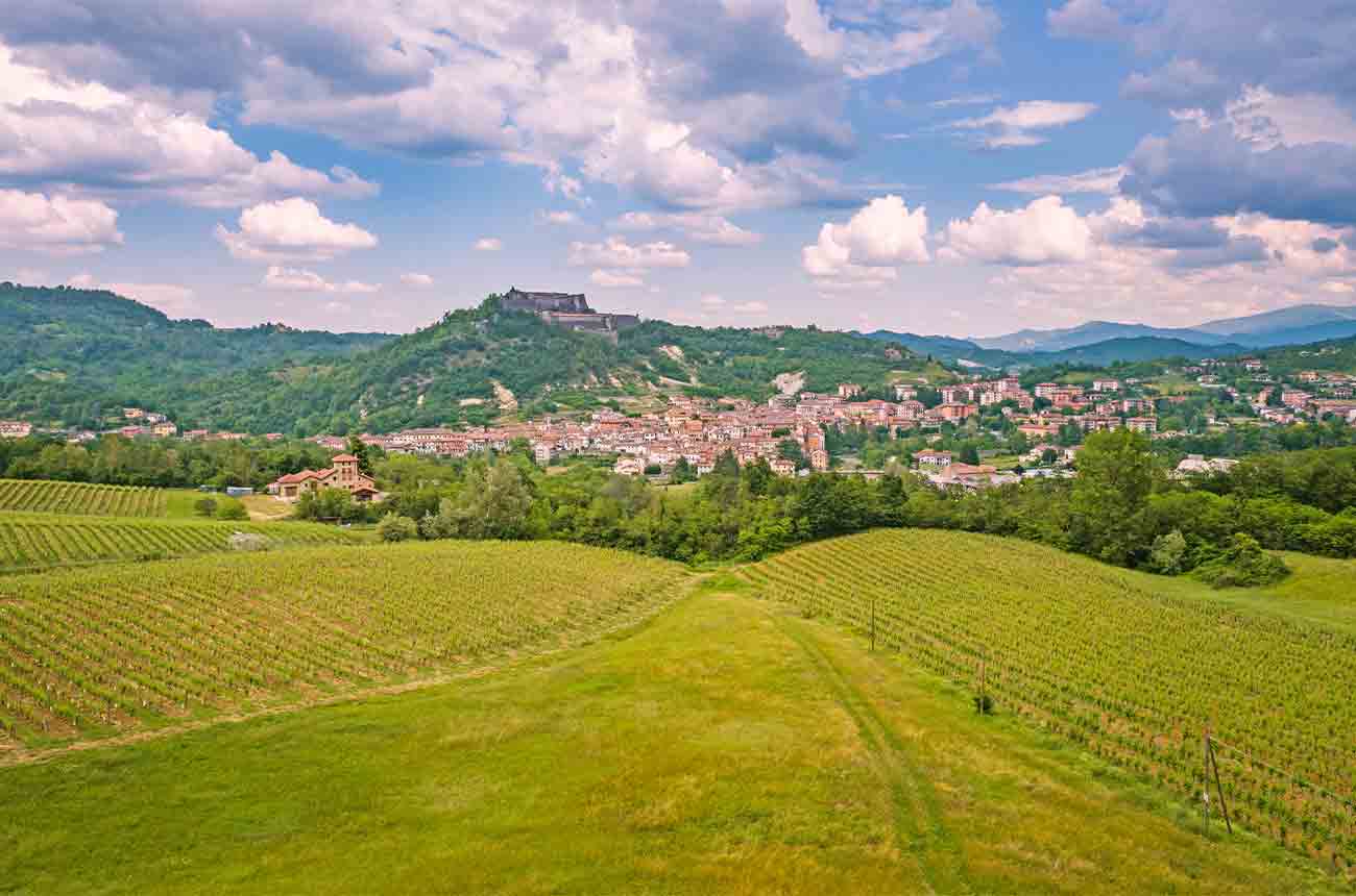 Gavi &ndash; Where ancient soils make for ageworthy white wines